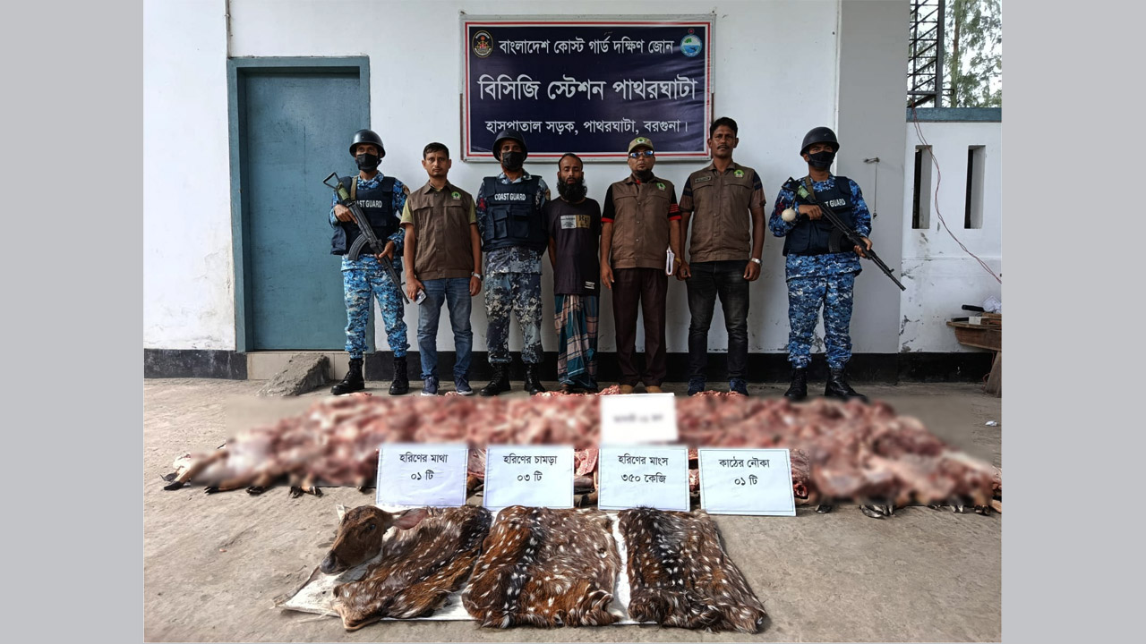 পাথরঘাটায় হরিণের মাথা ও চামড়াসহ ৩৫০ কেজি গোশত জব্দ