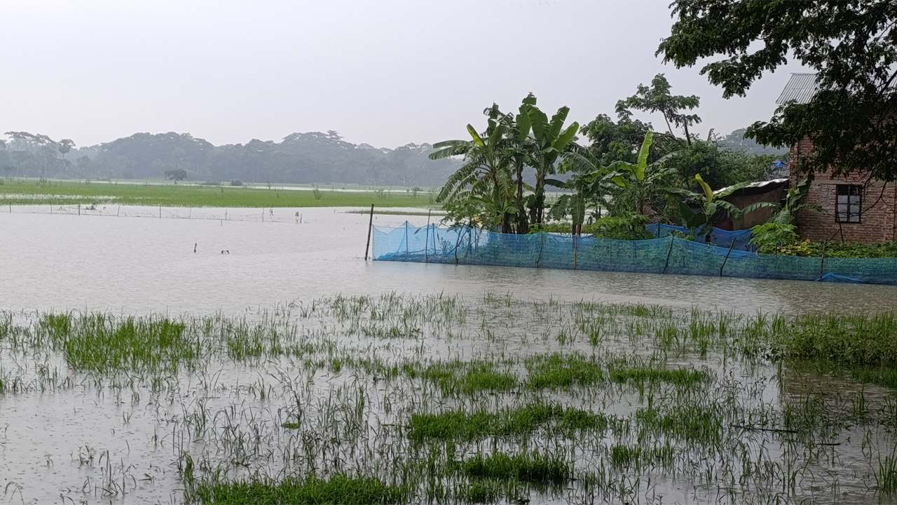 বৃষ্টিতে তলিয়ে গেছে নিন্মাঞ্চল