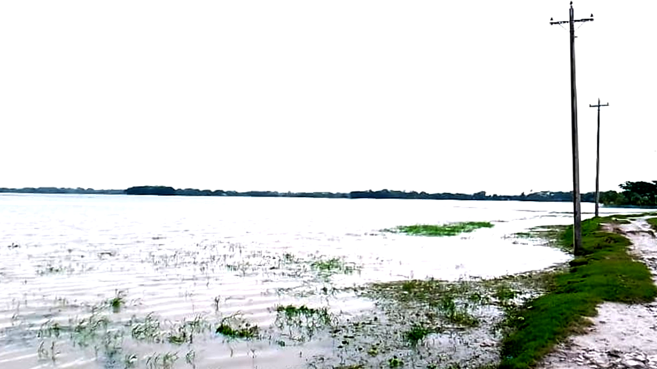 ভারী বর্ষণে তলিয়ে গেছে ফসলি জমি