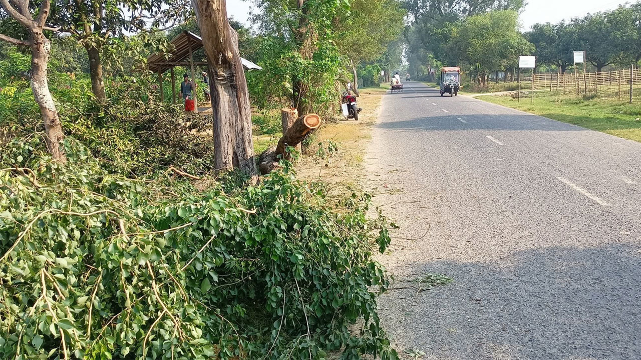 পোরশায় একরাতে একাধিক সড়কে ডাকাতি