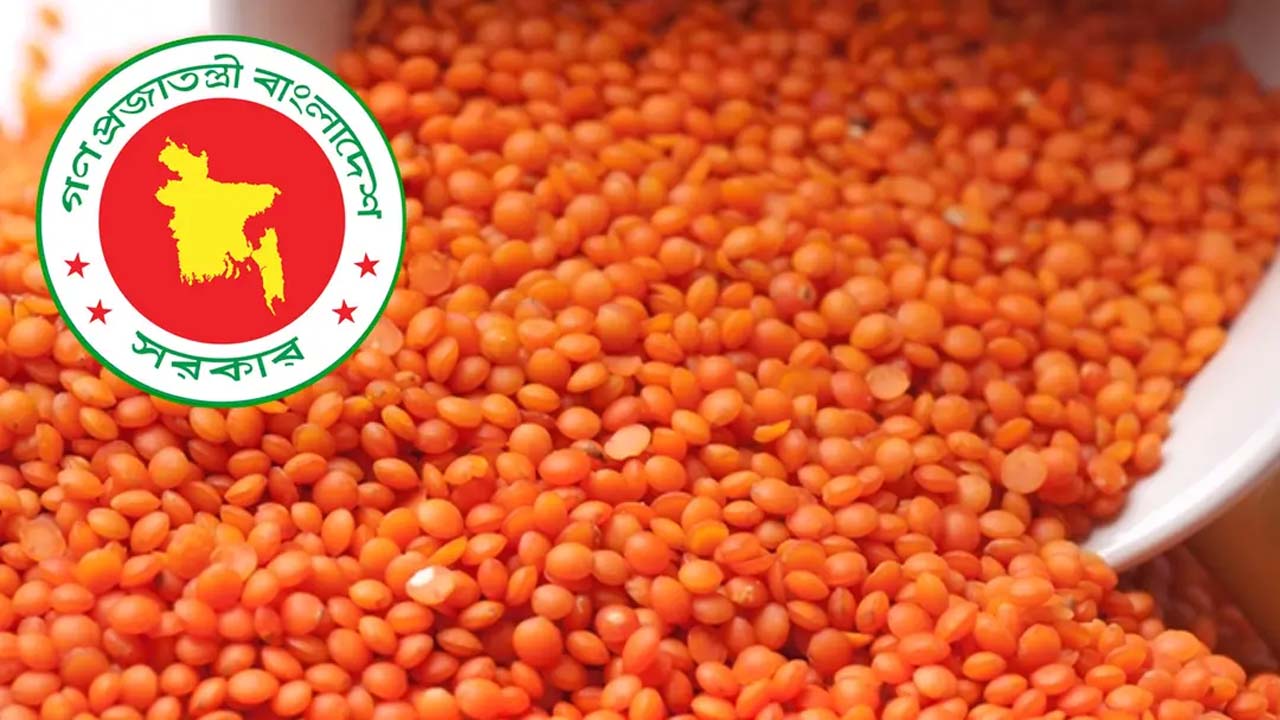 মসুর ডাল