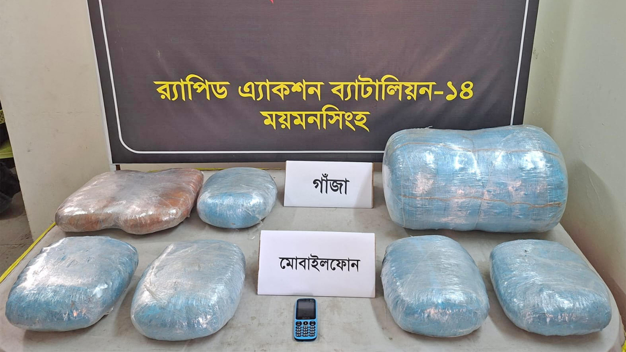 গৌরীপুরে র‌্যাবের অভিযানে ২৬ কেজি গাঁজা উদ্ধার