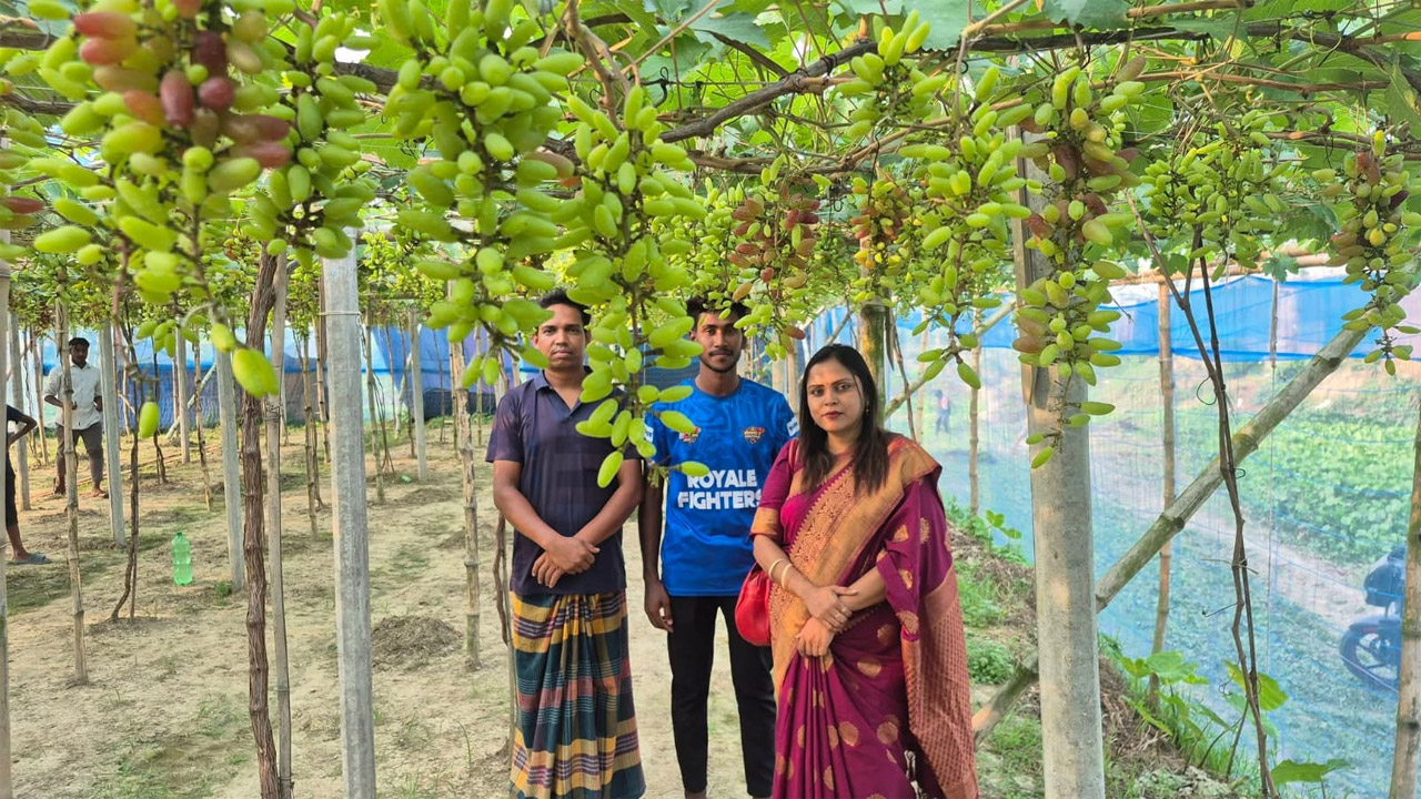 আঙুর বাগানেই স্বপ্ন দেখছেন রাজশাহীর রাহুল