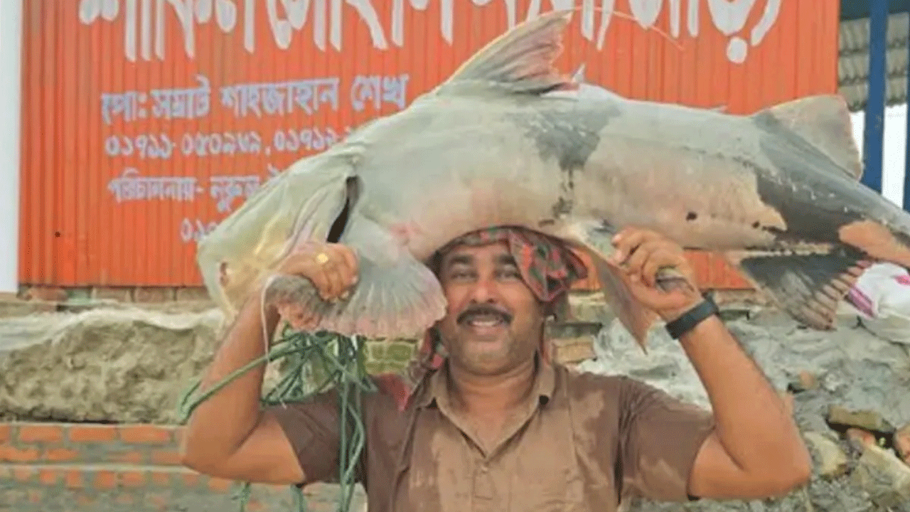 বাঘাইর মাছ