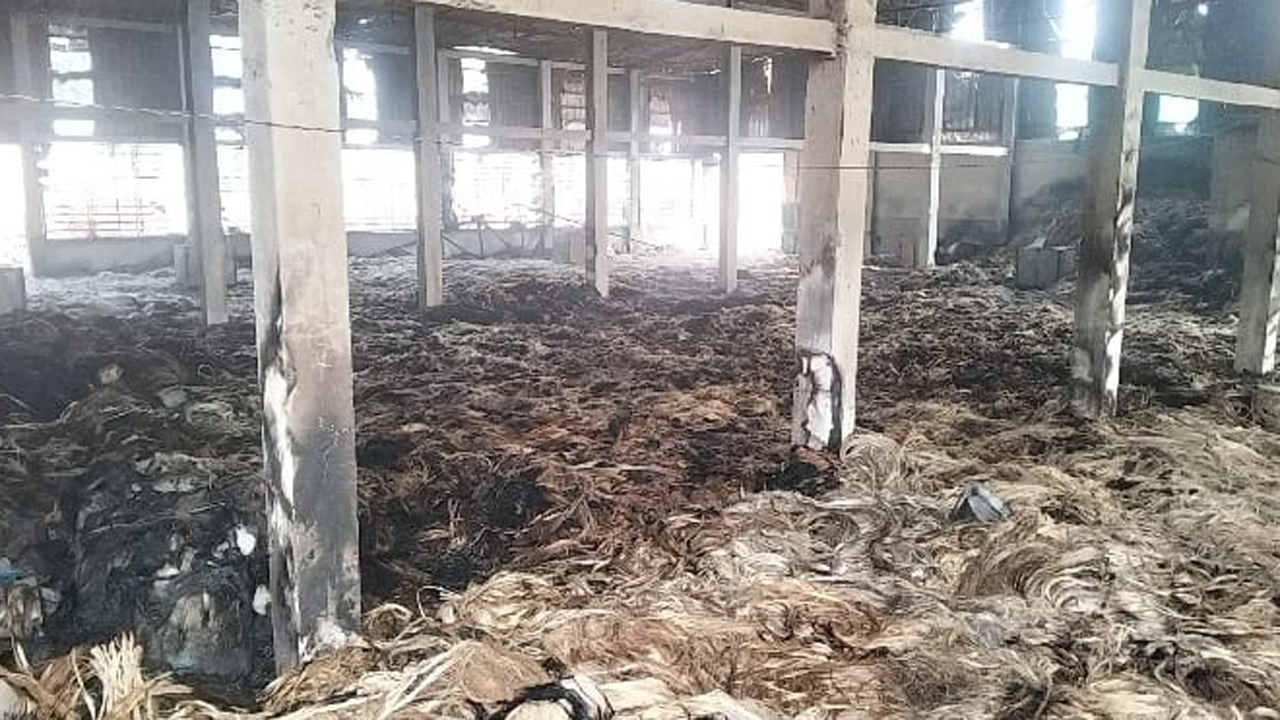 আগুনে পোড়া গুদামের পাট।