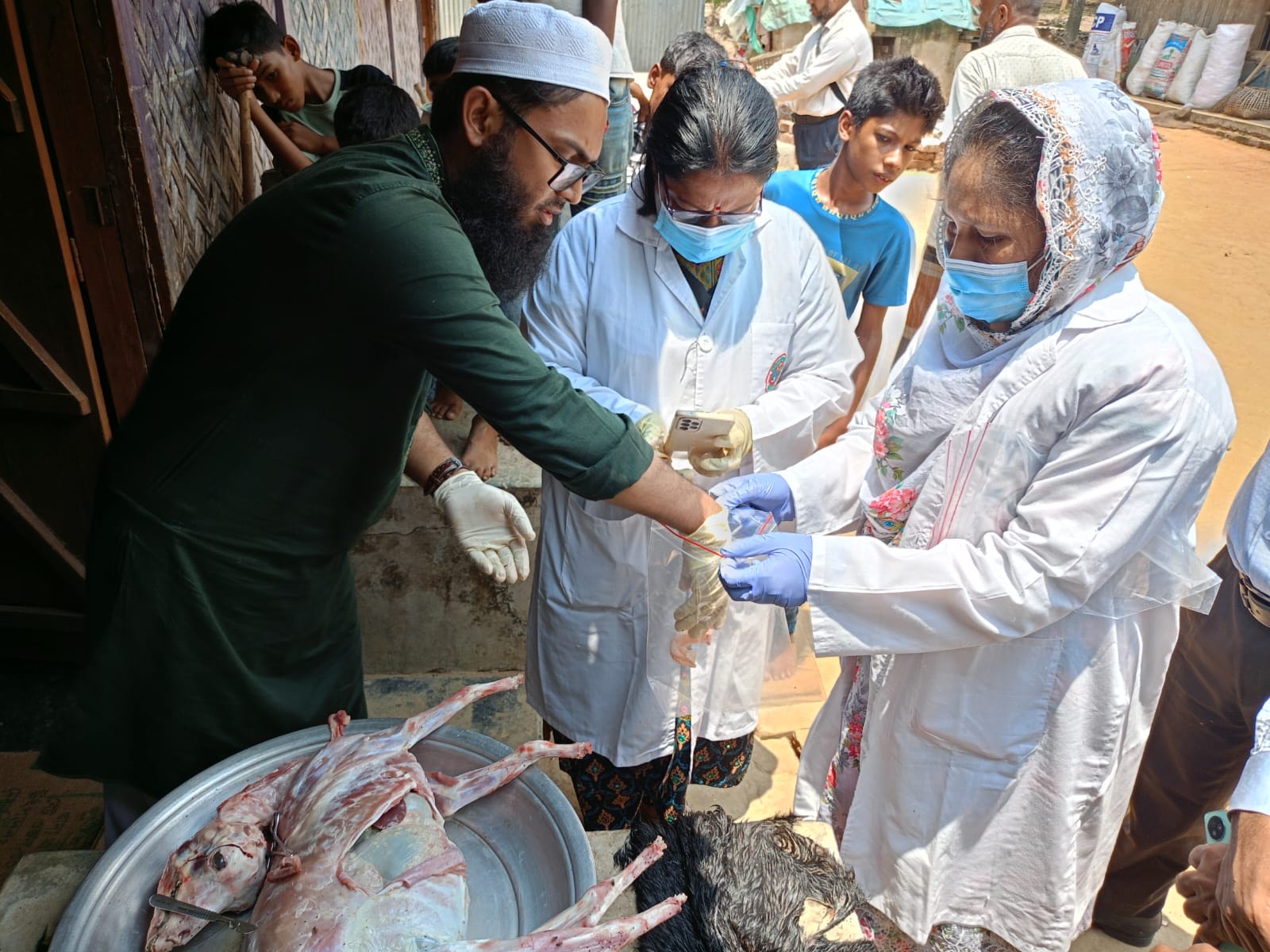 মৃত ও আক্রান্ত পশুর নমুনা সংগ্রহ