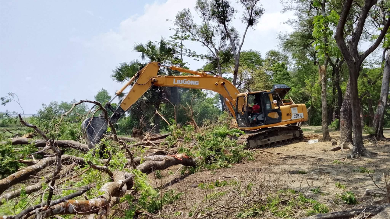 রাঙ্গাবালীতে বেড়িবাঁধ সংস্কারের নামে এভাবে গাছ উপড়ে ফেলা হচ্ছে