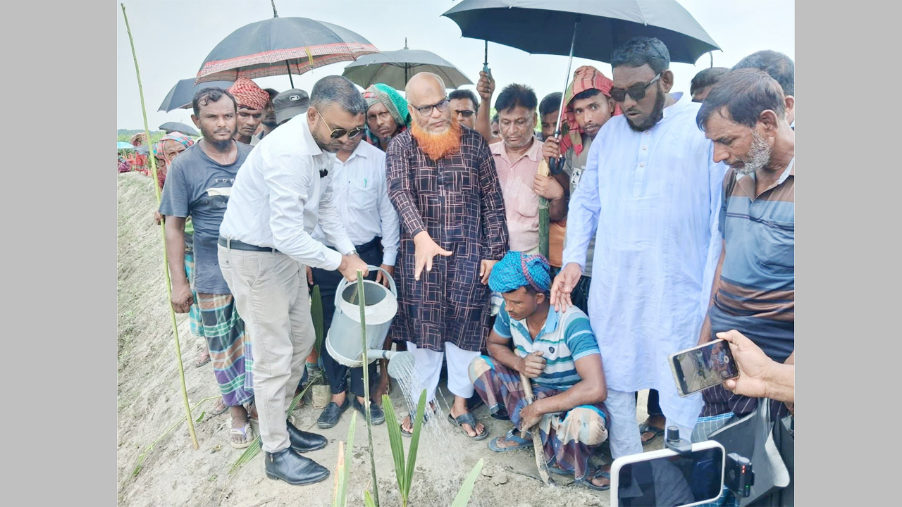 বৃক্ষরোপন কর্মসূচির উদ্বোধন