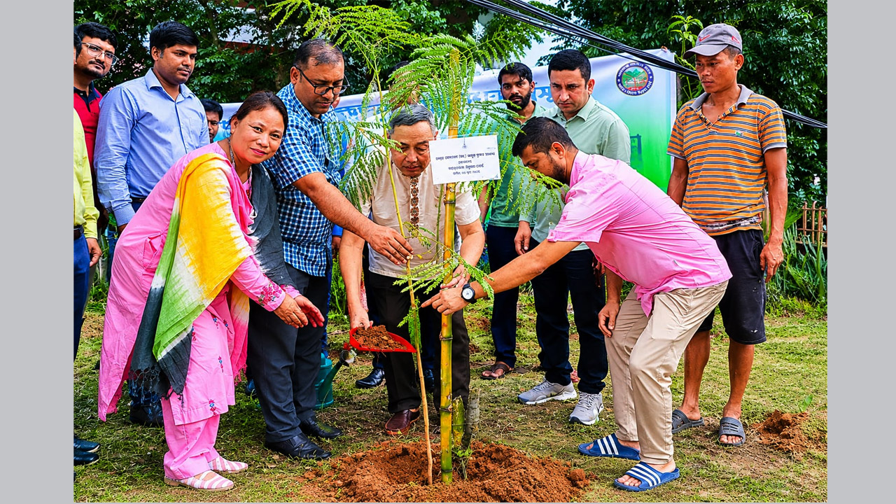 তিন পার্বত্য জেলায় পাঁচ বছরে ৫ লাখ গাছ রোপণ করবে পার্বত্য চট্টগ্রাম উন্নয়ন বোর্ড