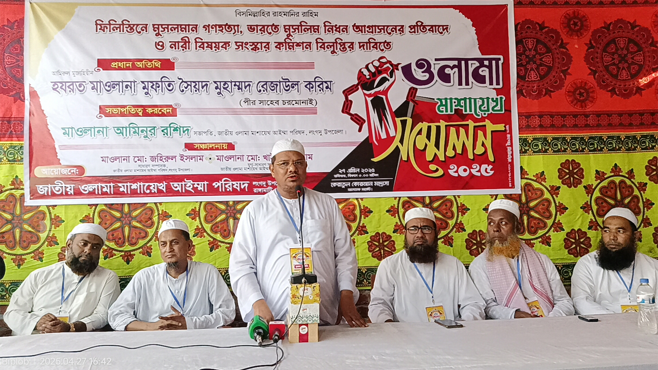 সমাবেশে বক্তব্য দিচ্ছেন চরমোনাই পীর রেজাউল করিম