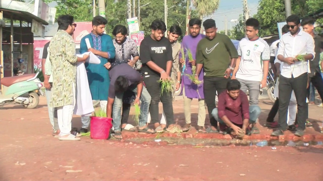 রংপুর সিটির সাতমাথা এলাকায় সড়কে প্রতীকী ধানের চারা রোপণ