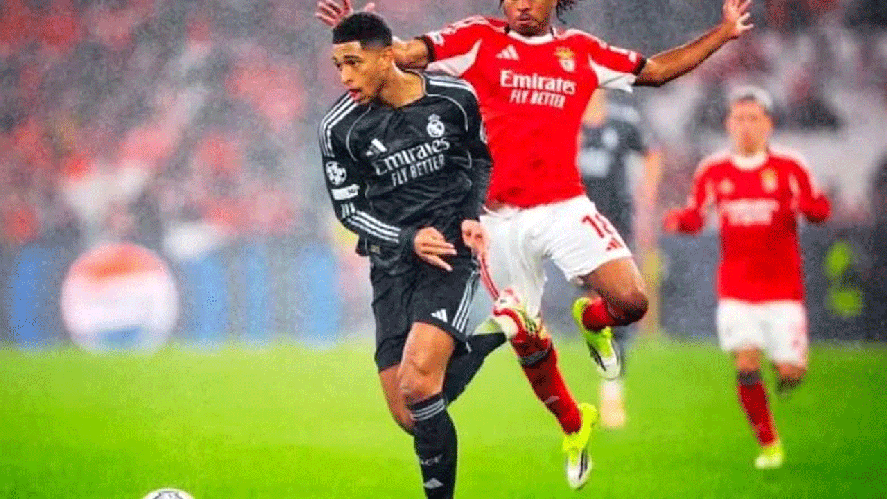 চ্যম্পিয়ন্স লিগ পর্বের শেষ ম্যাচে রিয়াল মাদ্রিদ ও বেনফিকা