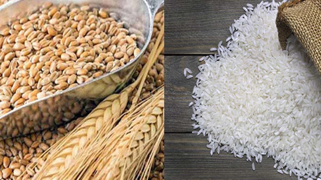 চাল ও গম