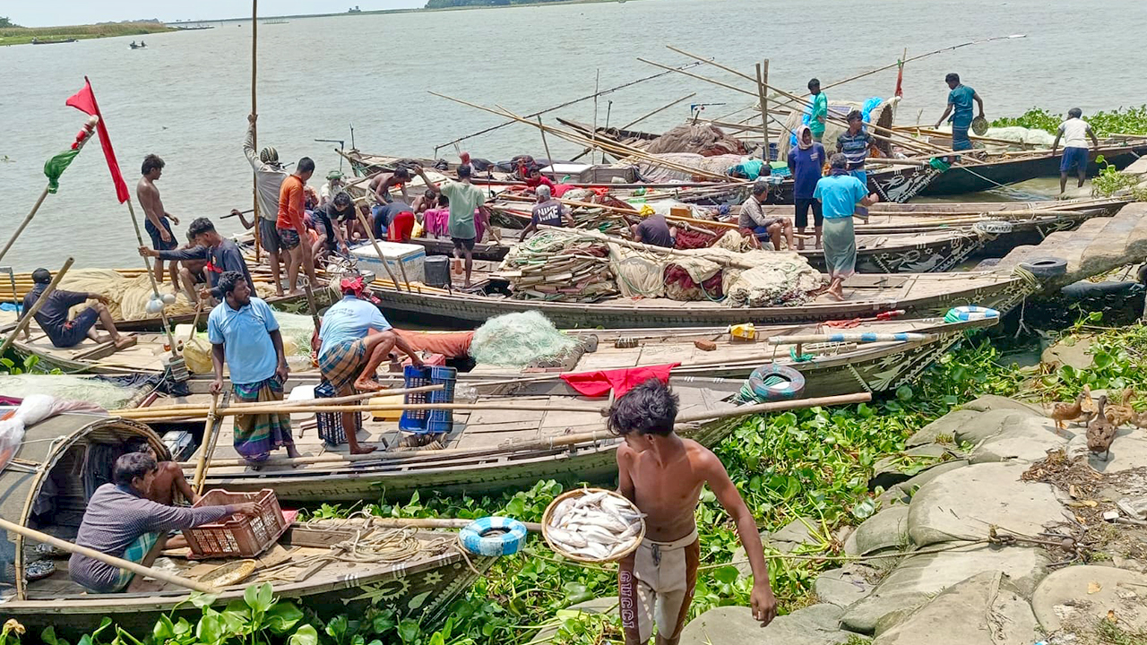 মতলবের মেঘনায় জেলেদের মাছ ধরার নৌকার সারি।