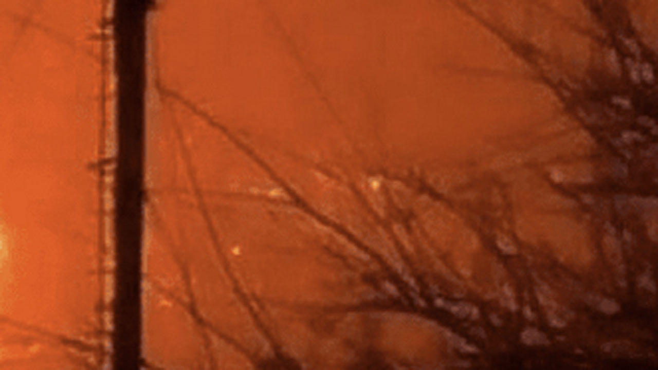 রাশিয়ার বাল্টিক উস্ত-লুগা বন্দরে ড্রোন হামলা