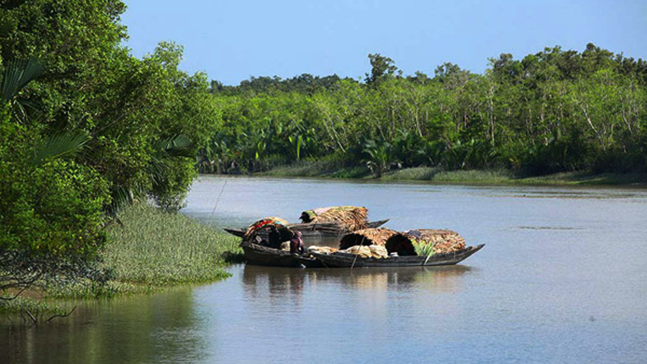 সুন্দরবনের অভয়ারণ্যে মাছ শিকার ৩৫ জেলে আটক