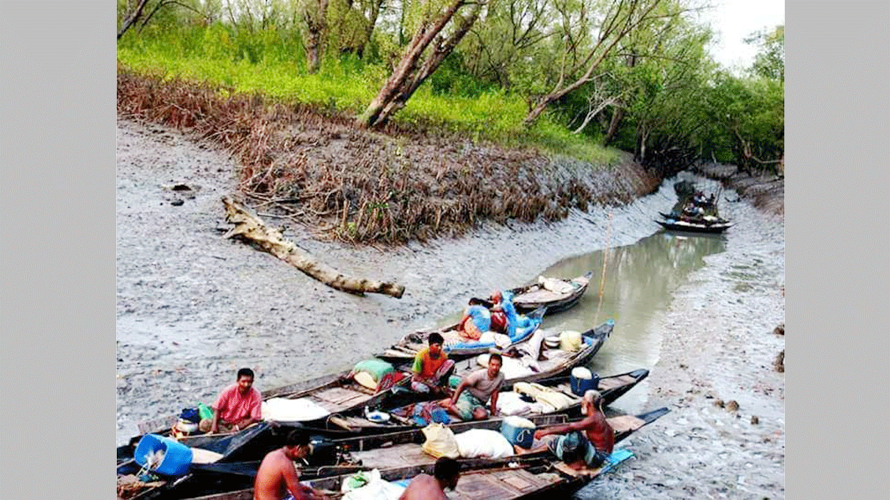 সুন্দরবন