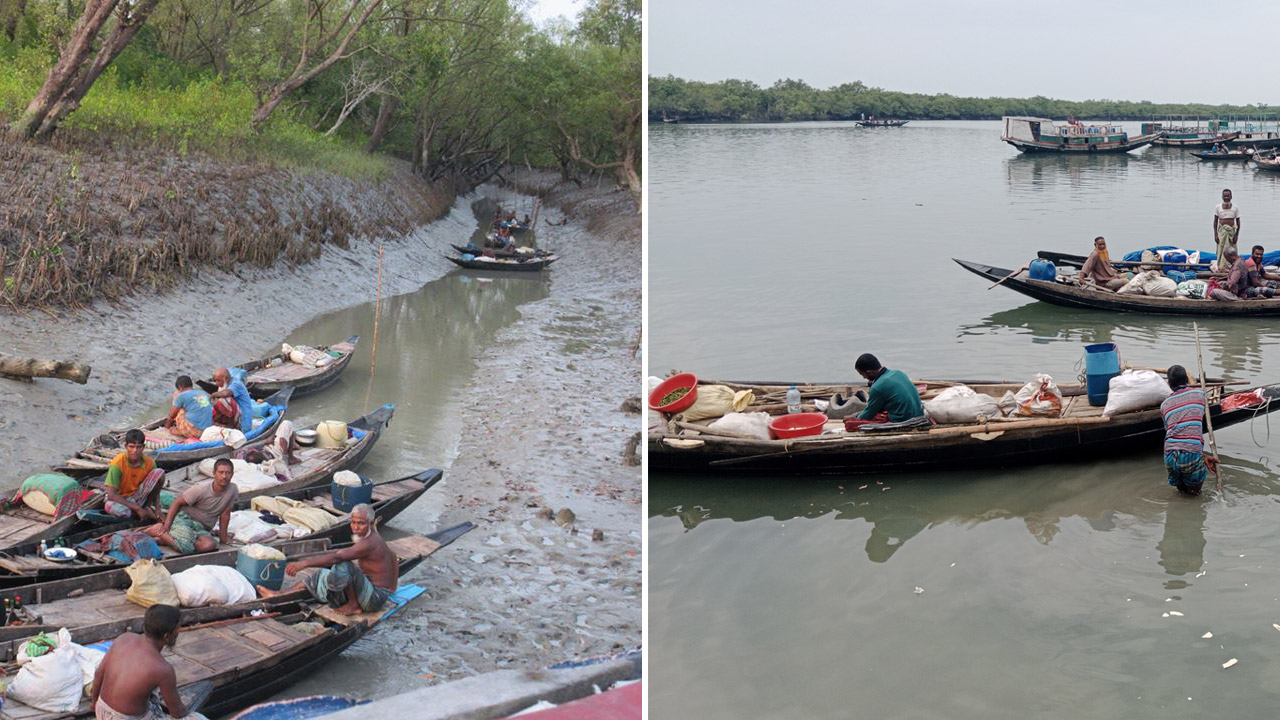 সুন্দরবনে মৌয়ালদের কার্যক্রম
