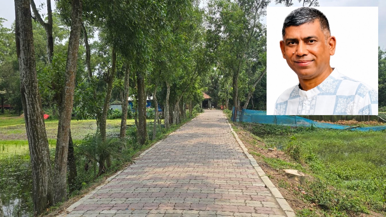ঈদের ছুটিতে সড়কের গাছ কেটে নেয়ার অভিযোগ বিএনপি নেতা সেলিমের বিরুদ্ধে
