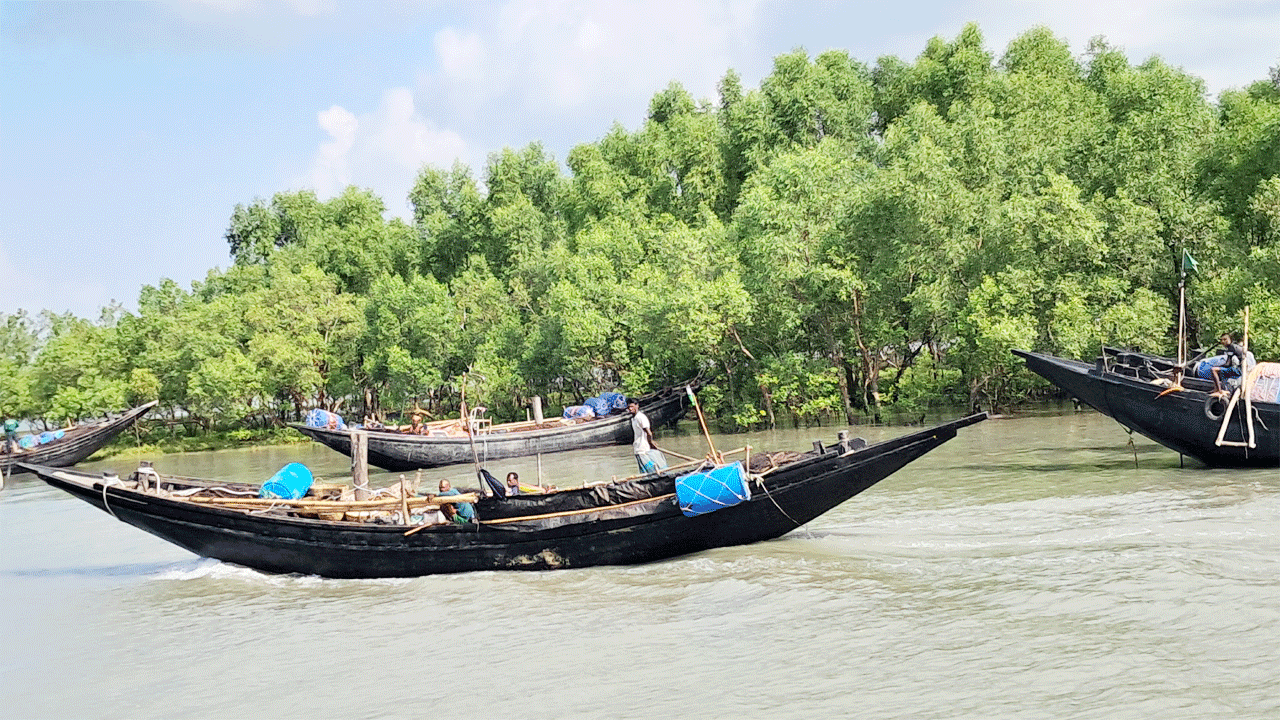 সুন্দরবনের শরণখোলা রেঞ্জ এলাকা