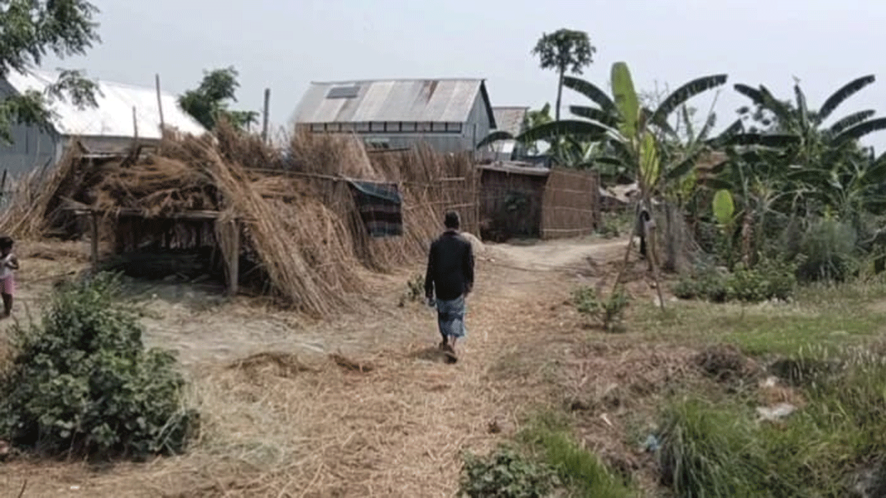 শিবচর পদ্মার চর