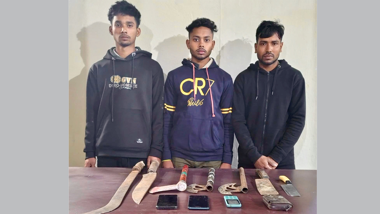 আটক গ্যাংয়ের সদস্যরা