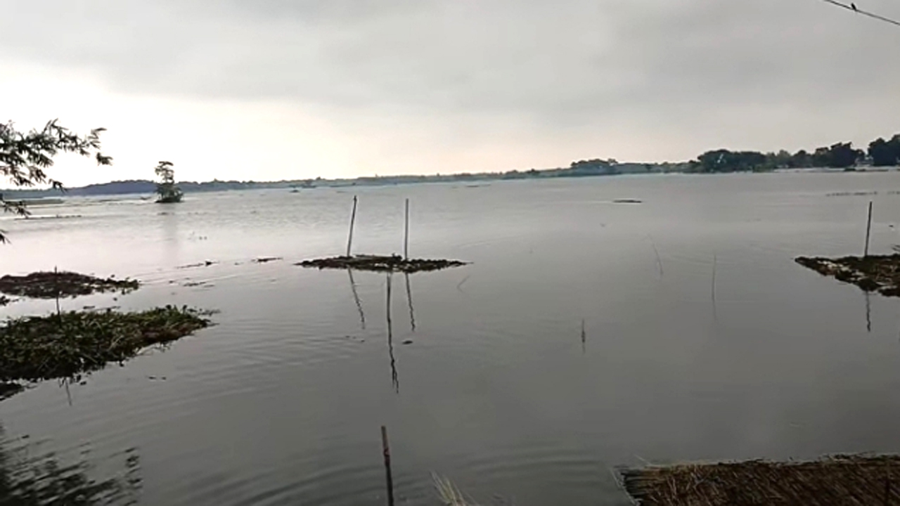 পানির নিচে তলিয়ে গেছে ফসল