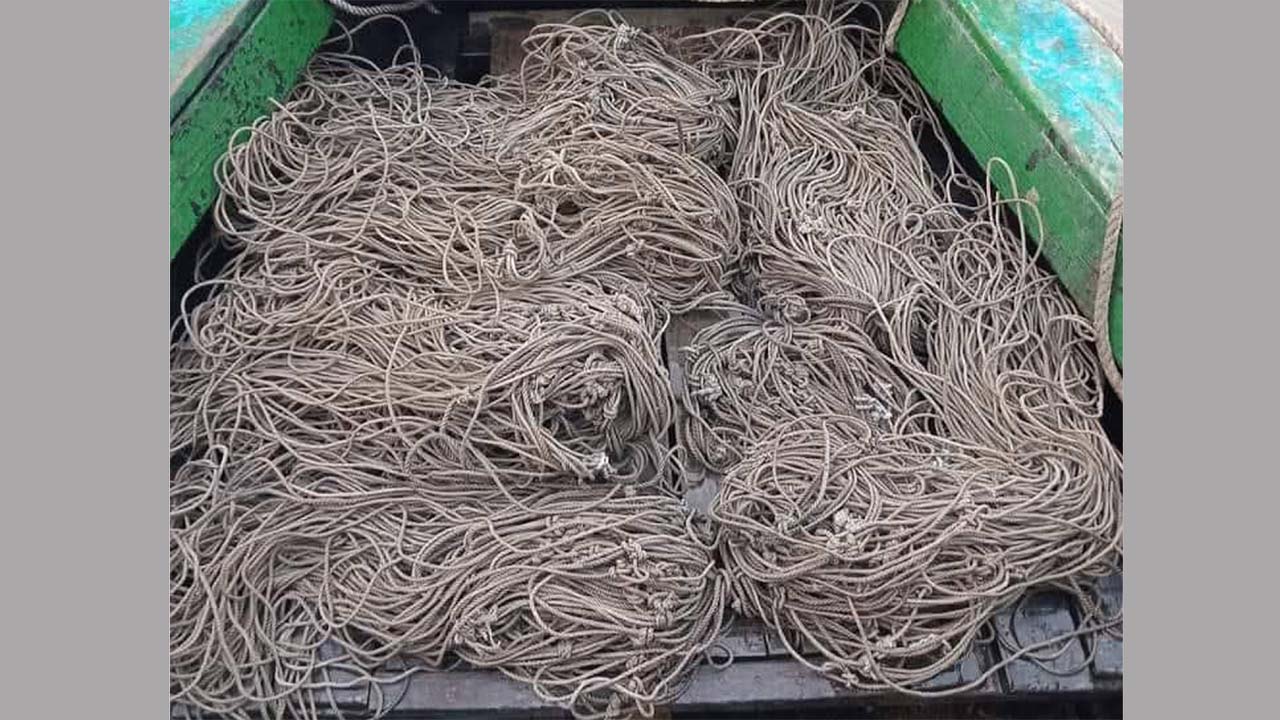 হরিণ ধরার নাইলনের জালের ফাঁদ