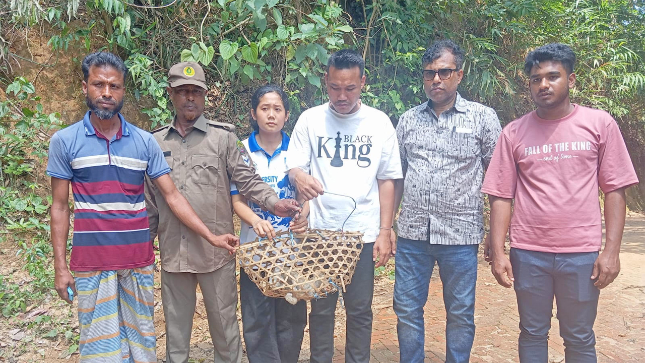 নানিয়ারচরে লজ্জাবতী বানর অবমুক্ত
