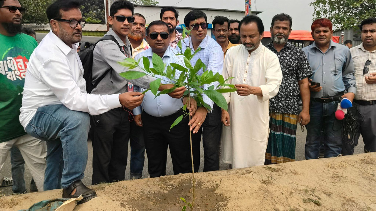 সরকারের নির্বাচনী ইশতেহার অনুযায়ী সিরাজগঞ্জে বৃক্ষরোপণ শুরু