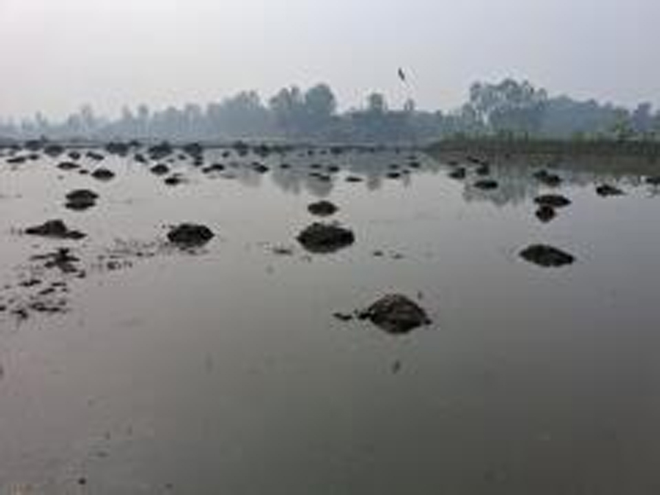 কৃত্রিম জলাবদ্ধতা