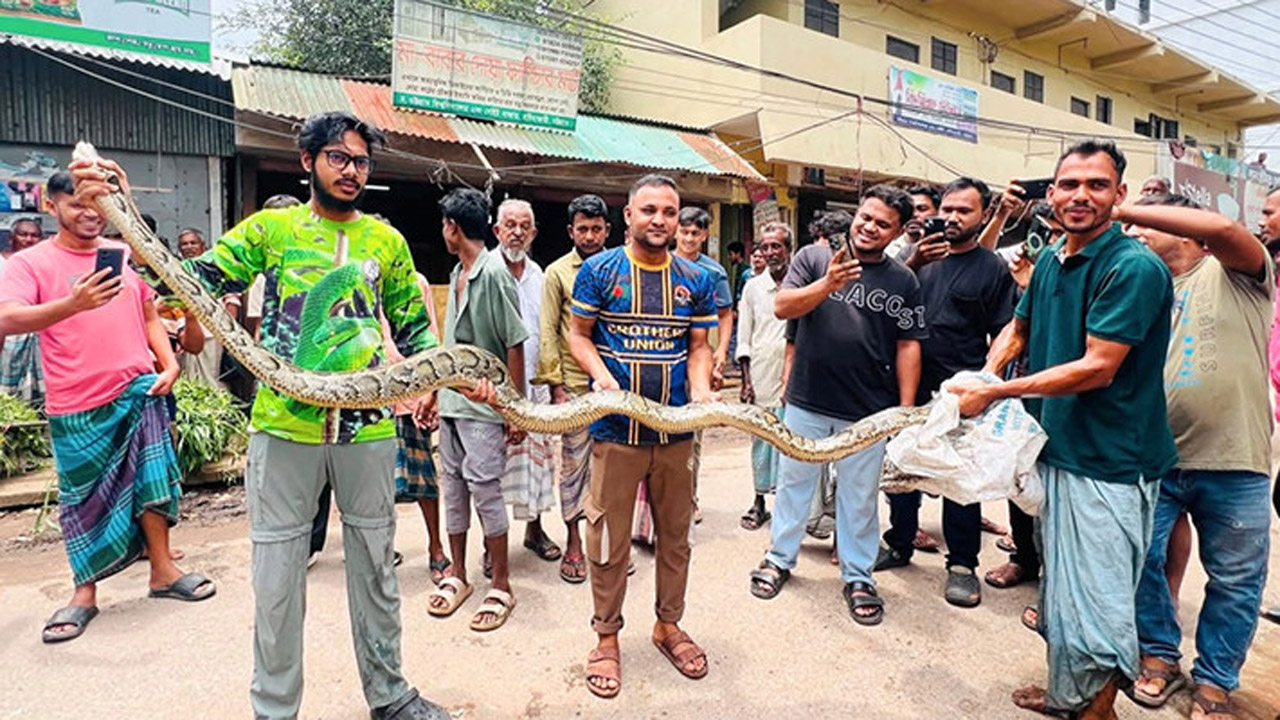 উদ্ধারকৃত সাপ