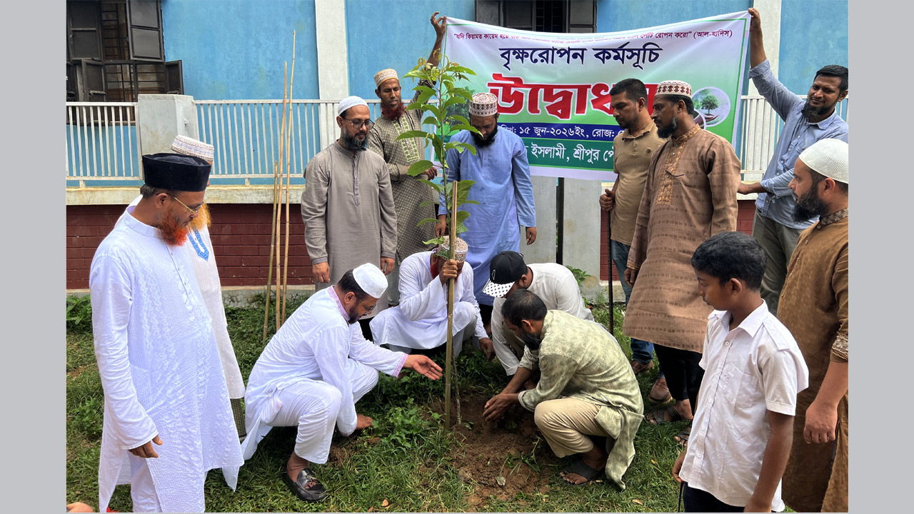 শ্রীপুরে জামায়াতে ইসলামীর যুব বিভাগের উদ্যোগে বৃক্ষরোপণ কর্মসূচি