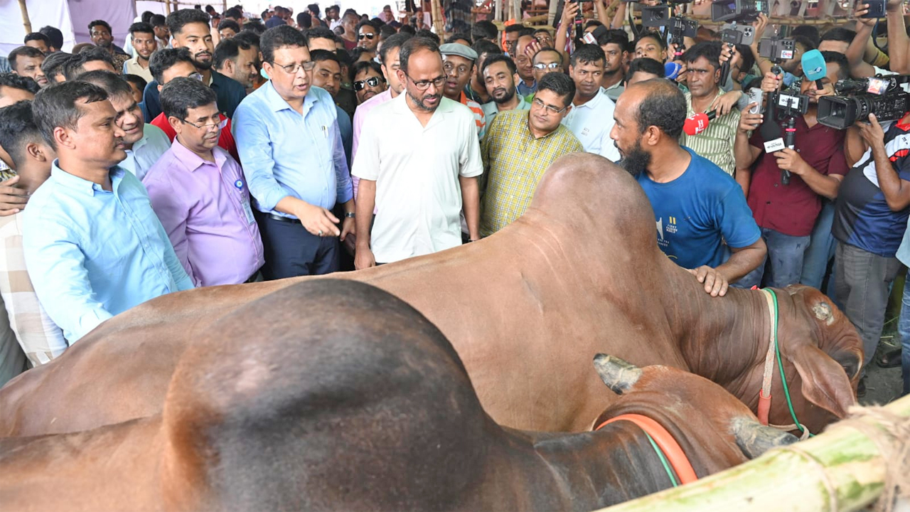 কোরবানির পশুর বাজার পরিদর্শনে প্রতিমন্ত্রীসহ কর্মকর্তাদের উপস্থিতি