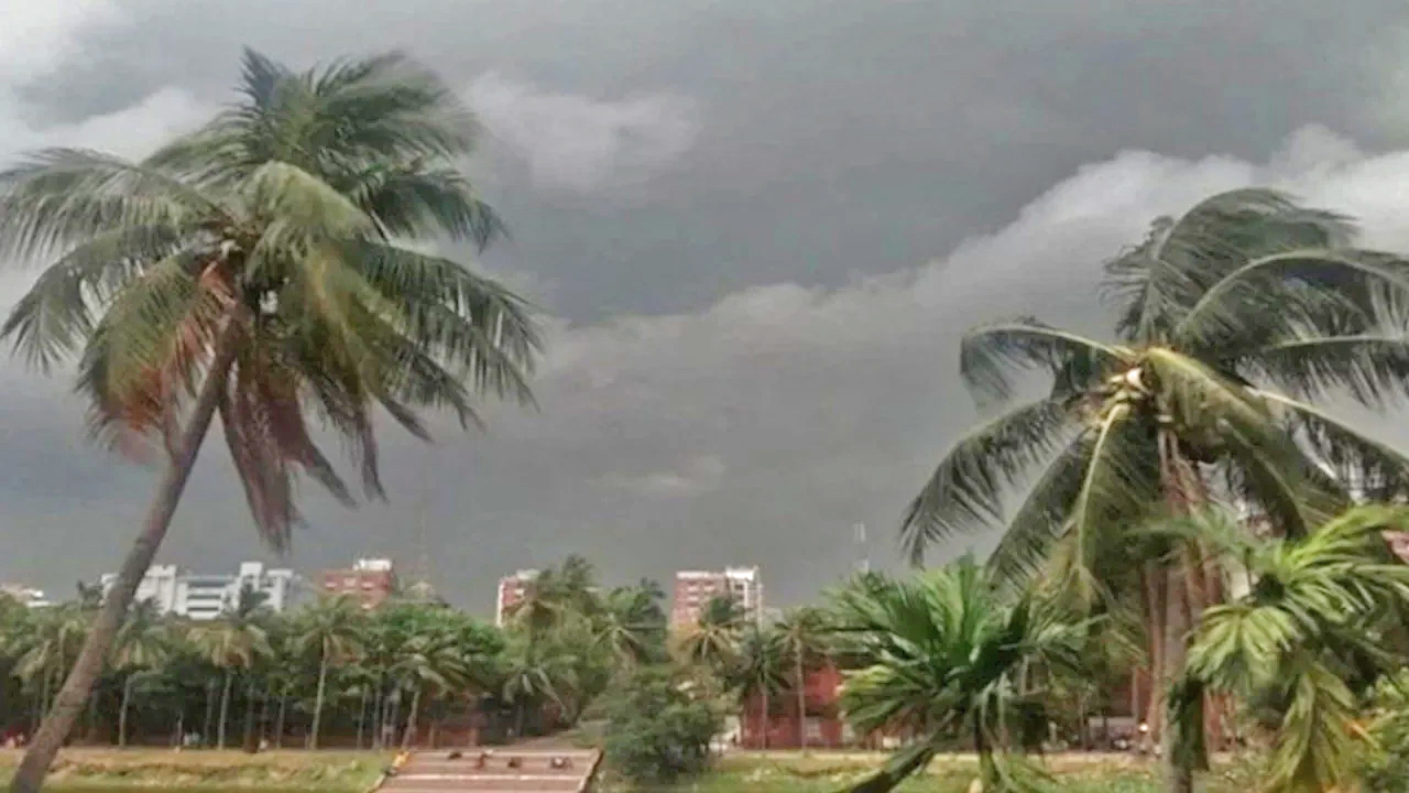 ঝড়ো হাওয়ার দাপটে দুলছে নারকেলগাছ, আকাশজুড়ে ঘন কালো মেঘ