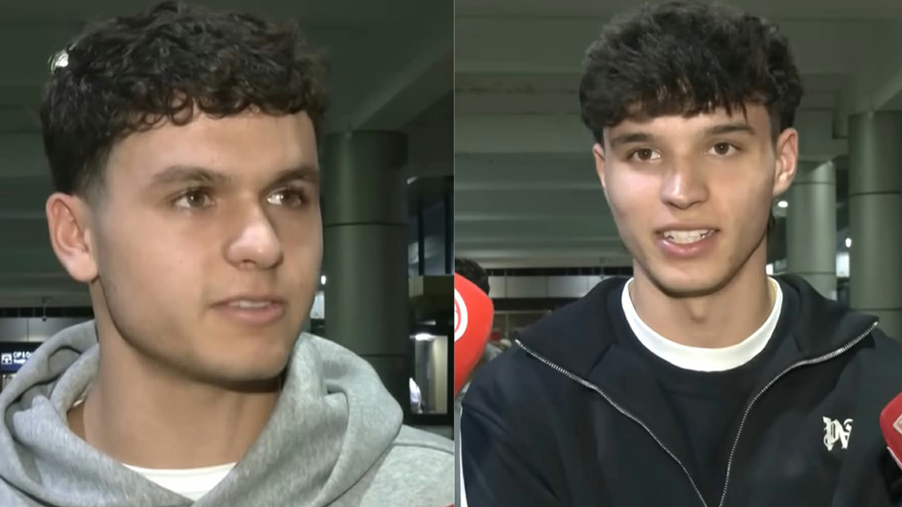 রোনান সুলিভান ও ডেকলান সুলিভান