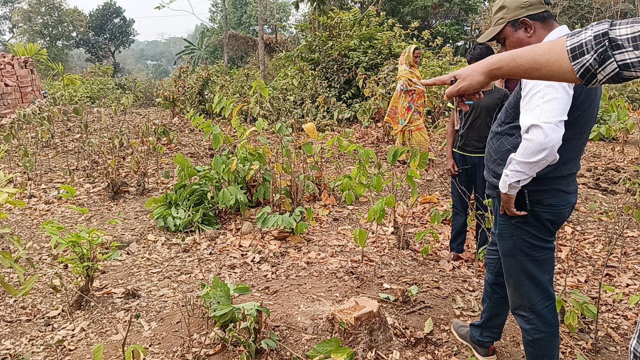 ঘটনাস্থল পরিদর্শনে প্রশাসন