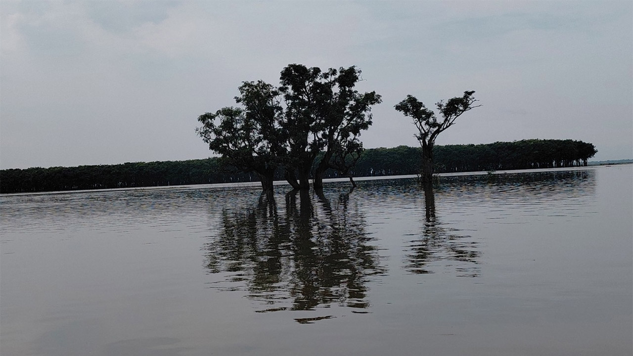 সুনামগঞ্জে পাহাড়ি ঢলে নদ-নদীর পানি বাড়ায় দুর্ভোগ