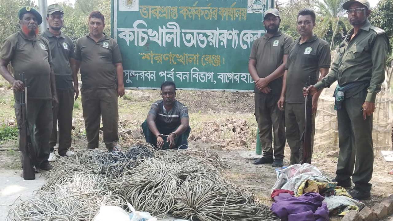 সুন্দরবনের ডিমেরচরে ফাঁদসহ আটক হরিণ শিকারি