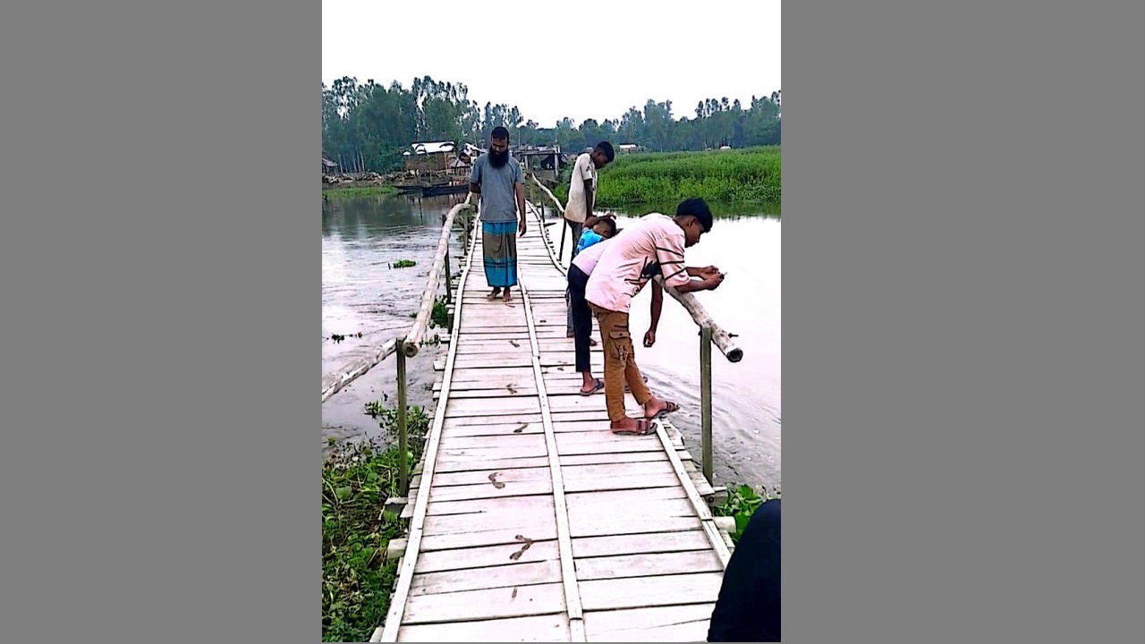 সুন্দরগঞ্জে ৩০ হাজার মানুষের ভরসা কাঠের সাঁকো!