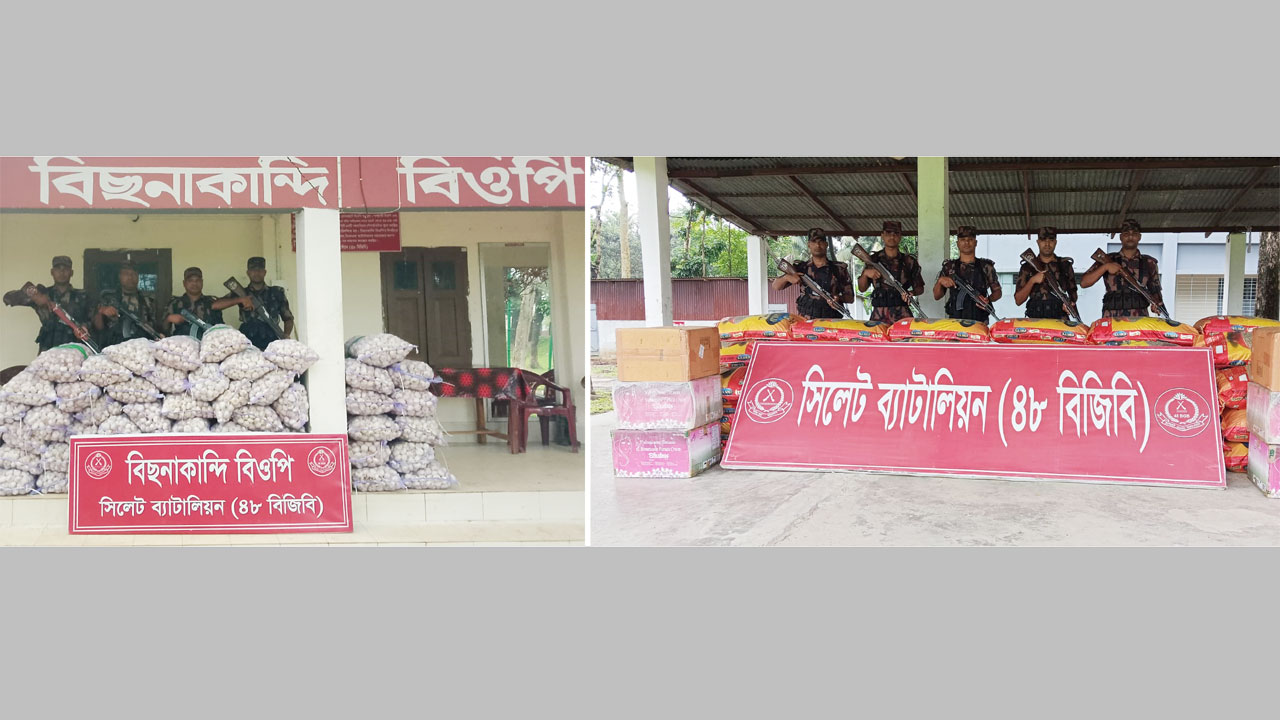 বিজিবির চোরাচালানি অভিযানে জব্দকৃত পণ্য