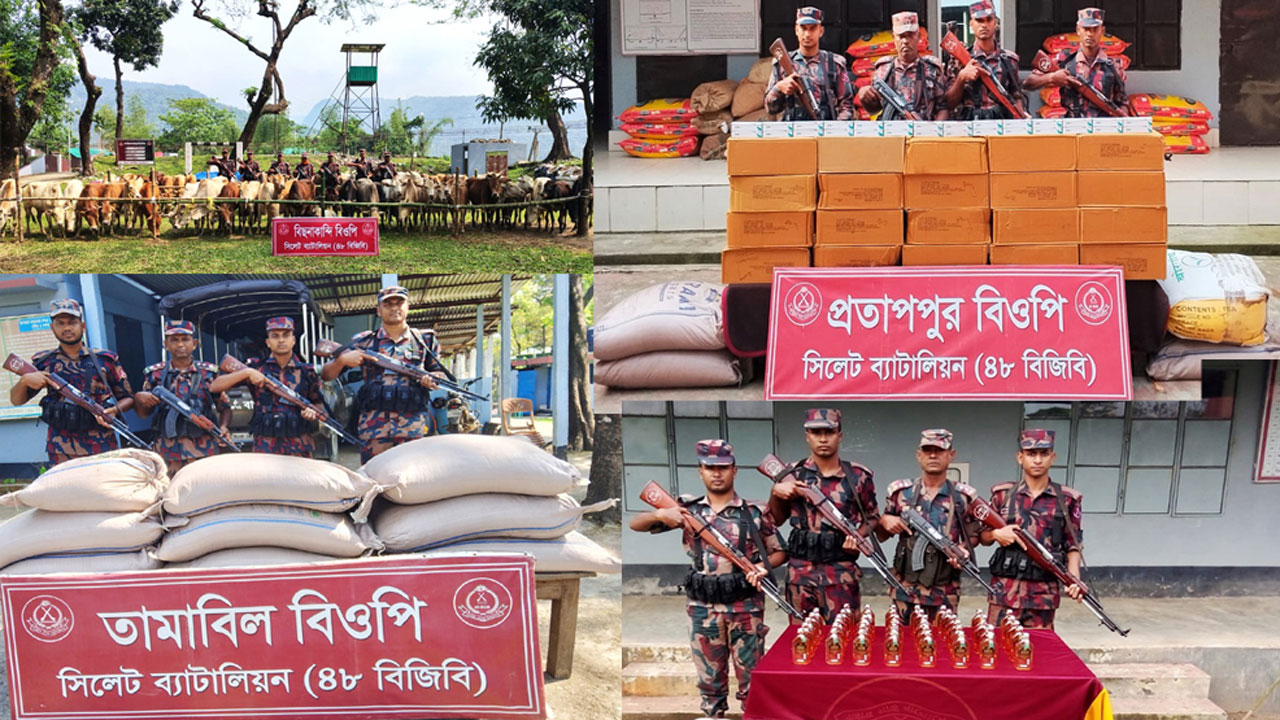 বিজিবির অভিযানে জব্দ করা মালামাল