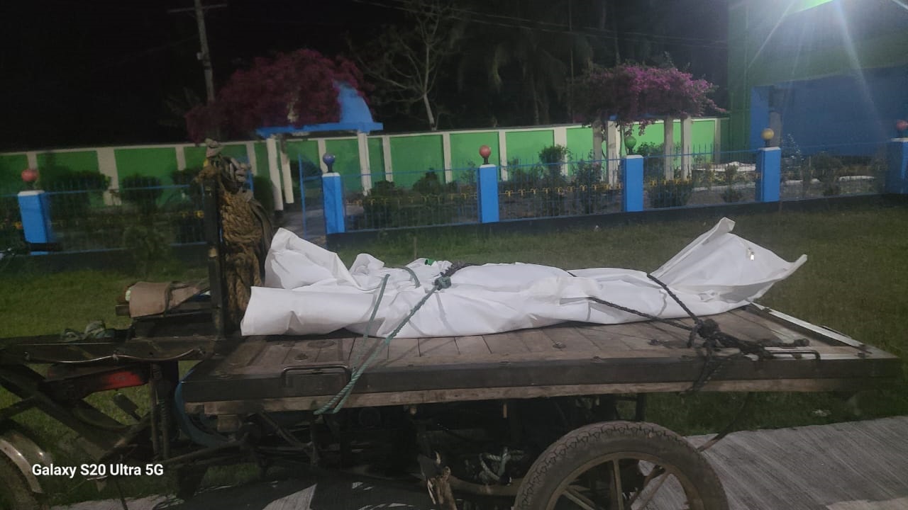 তালায় সড়ক দুর্ঘটনায় পথচারী নিহত