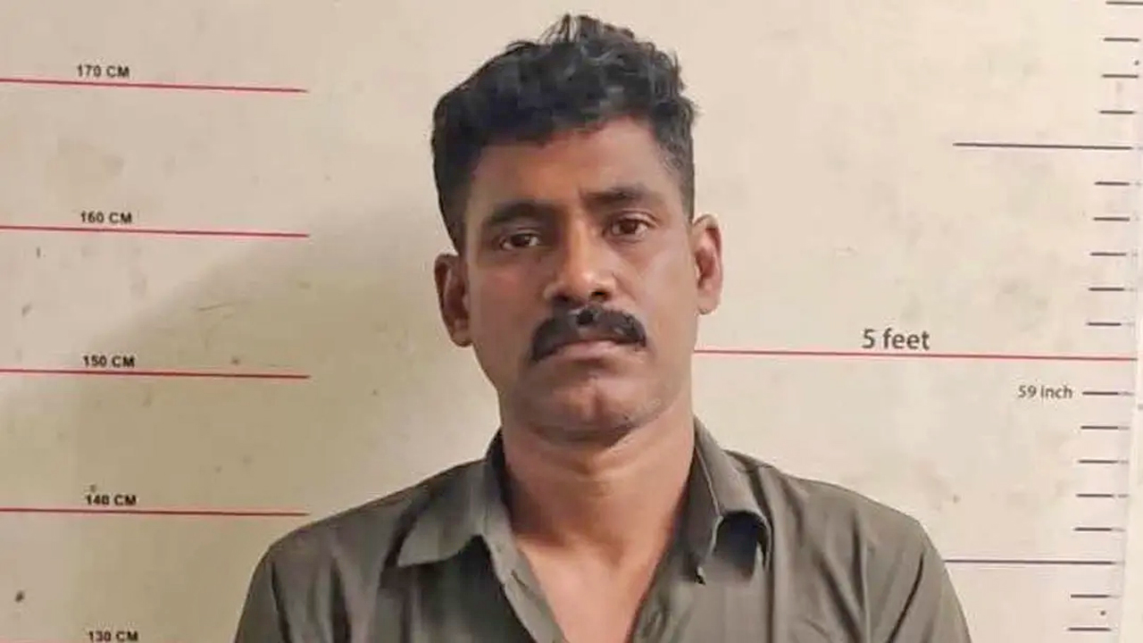 তানিম রেজা বাপ্পি