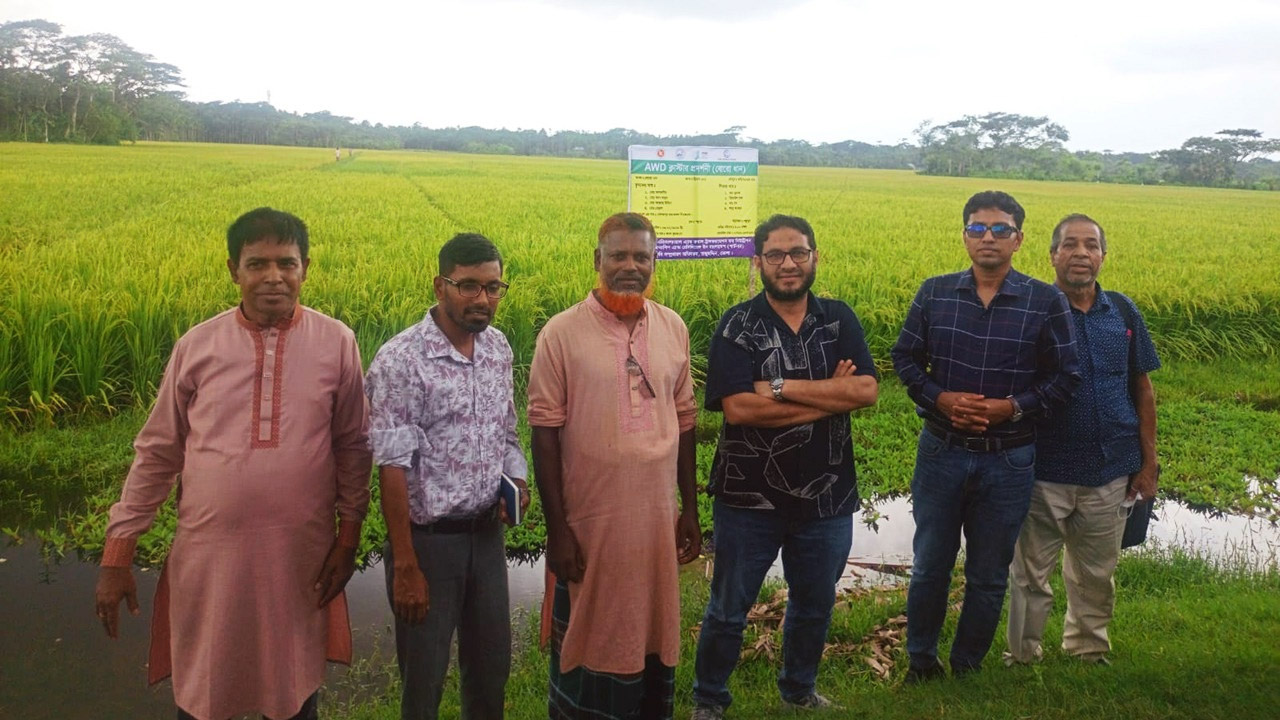 ভোলার তজুমদ্দিনে বোরো ধানের বাম্পার ফলন, দাম নিয়ে শঙ্কা