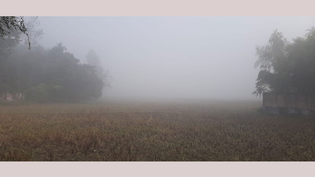 বৃহস্পতিবার শ্রীমঙ্গলে দেশের সর্বনিম্ন তাপমাত্রা রেকর্ড করা হয়েছে