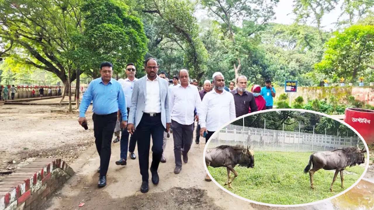 জাতীয় চিড়িয়াখানায় আয়োজিত এক অনুষ্ঠানে প্রাণীগুলোকে অবমুক্ত করেন প্রতিমন্ত্রী সুলতান সালাউদ্দিন টুকু