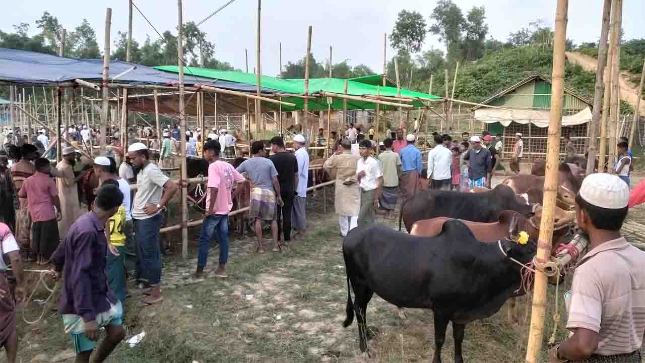 কোরবানির হাট