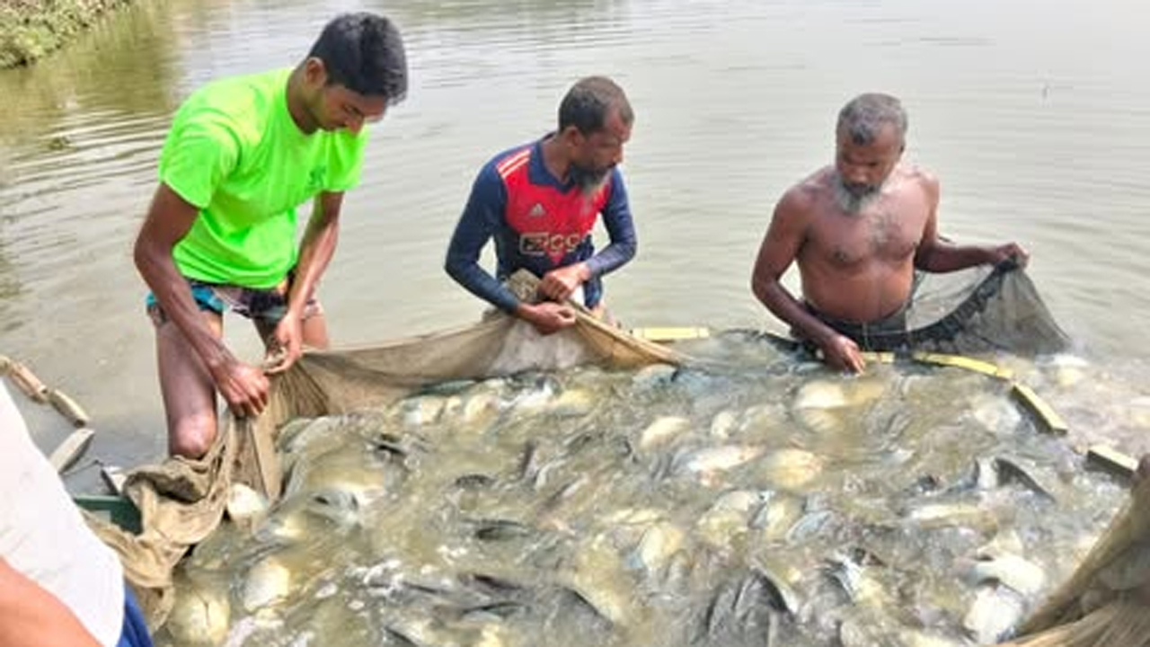মৎস্য খামারিরা