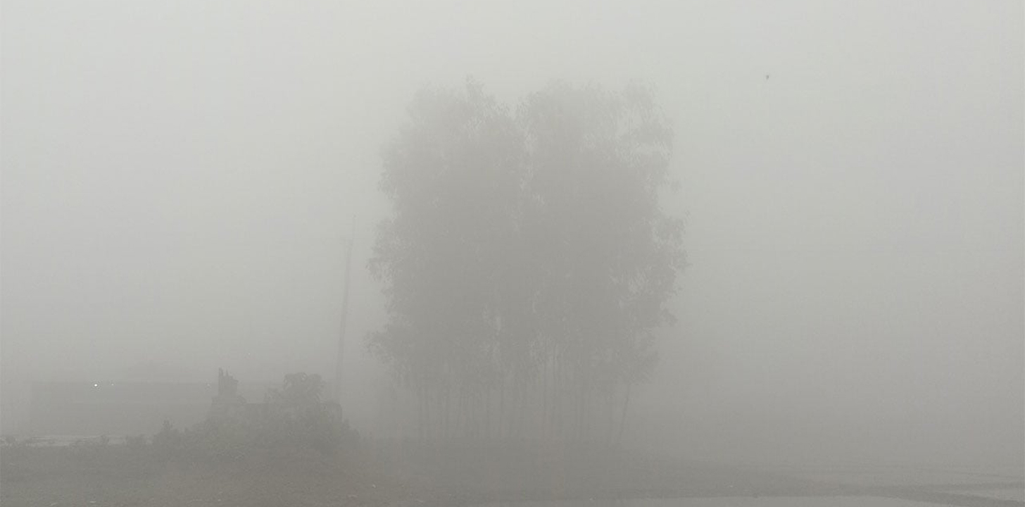 গুড়ি গুড়ি বৃষ্টির মতো পড়ছে কুয়াশা